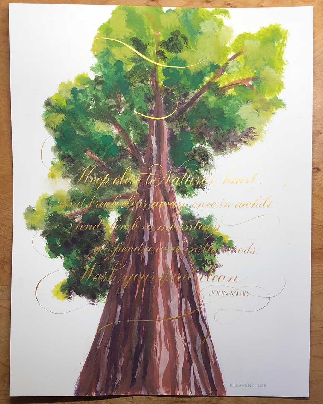 Calligraphic John Muir quote artistically intwined with redwood tree illustration by Katie Leavens