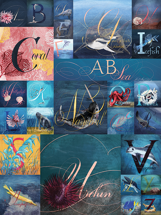 afull poster of alphabetical sea creatures
