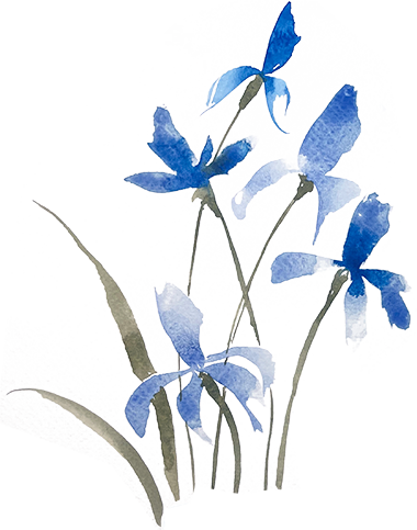 watercolor painted irises by Katie Leavens